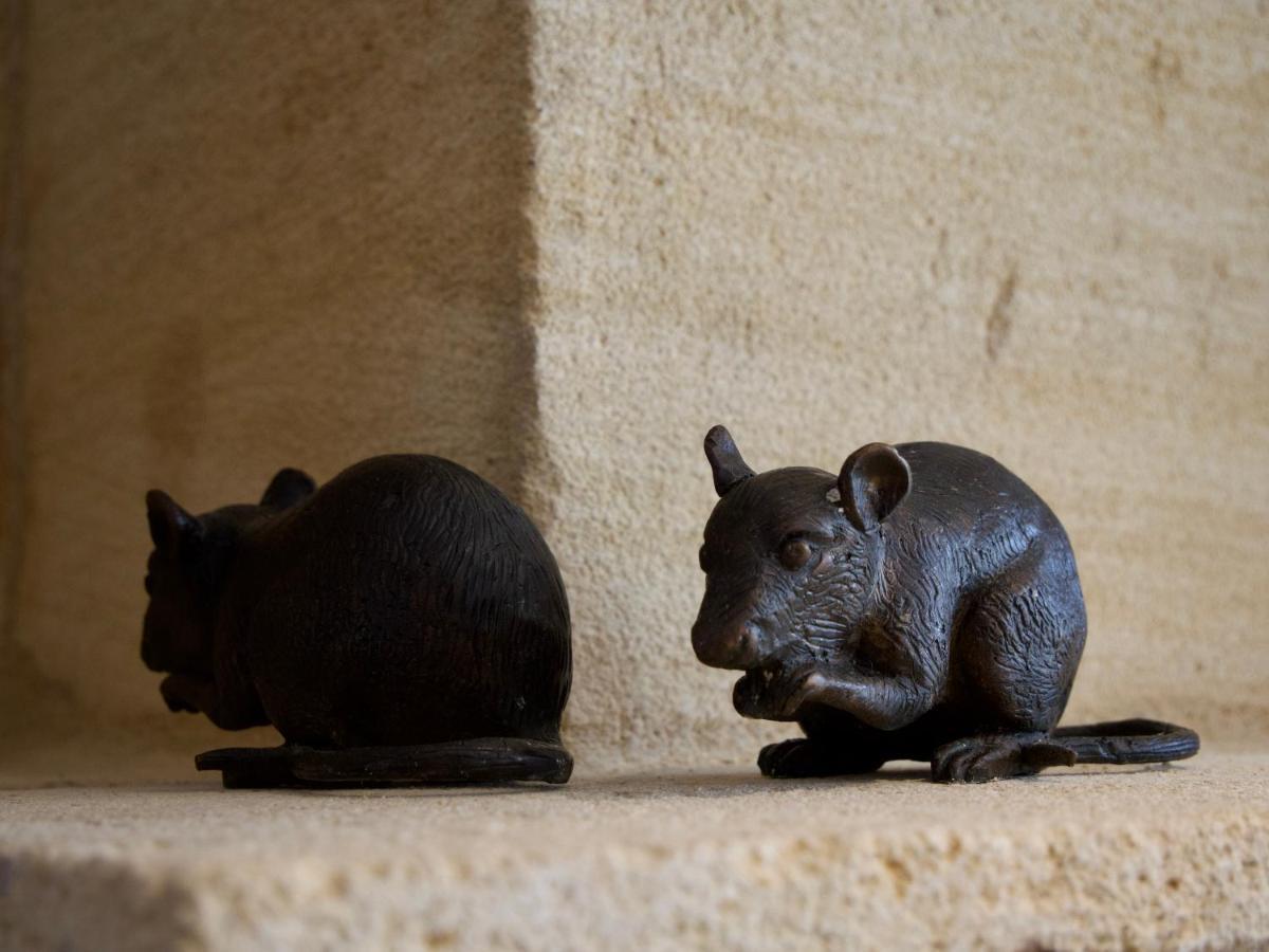 Gîte avec piscine, Château de Lescours, St-Émilion Saint-Sulpice-de-Faleyrens Extérieur photo
